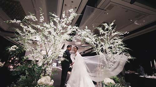 韩国黑白绿色烛光婚礼精剪 04:18