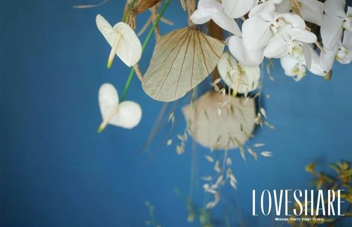 LoveShare爱享：莫兰迪色家居感婚礼