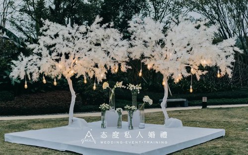 态度私人婚礼：态度婚礼161 | 烟花树下