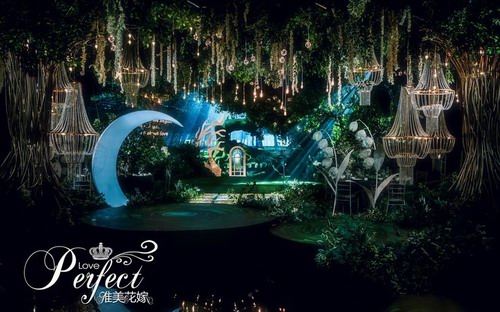 唯美花嫁：我踏进这片森林，只为征服你