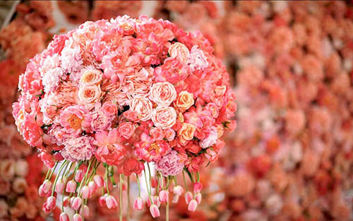 俄罗斯彼得罗夫斯基宫皇家婚礼