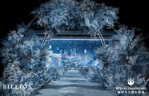 唯爱今生婚礼策划案例《梦枕星河》