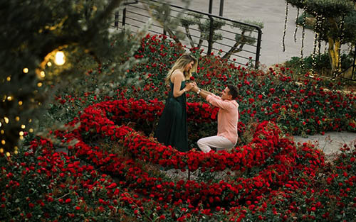 26000支爱心红玫瑰求婚灵感